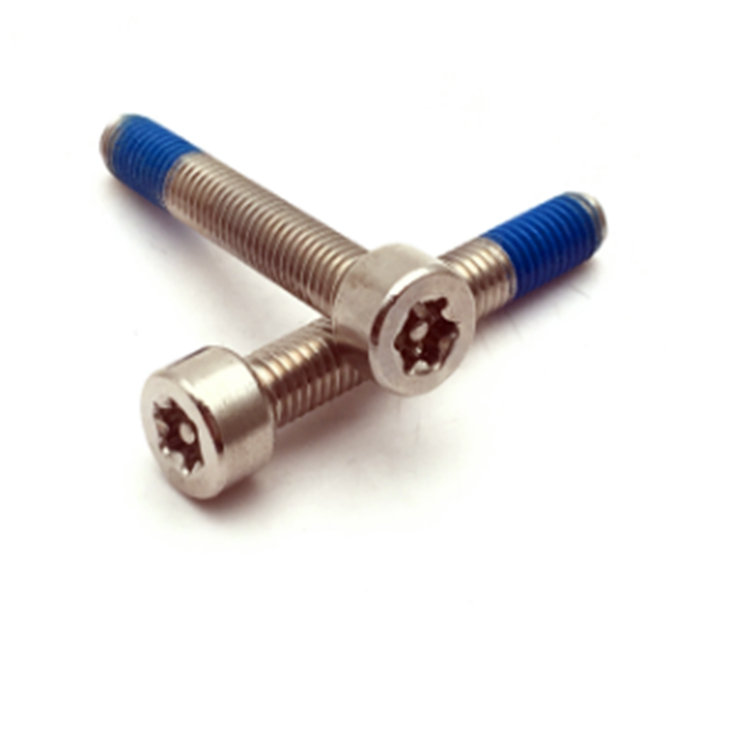 M5 ISO14579 rustfritt stål 304 nylonbelagt torx fix låsebolt