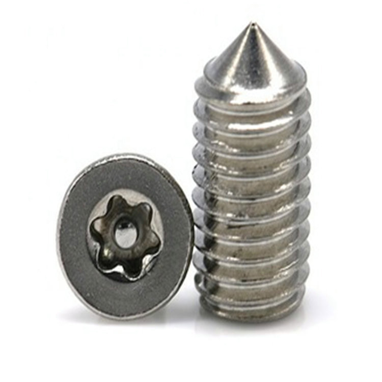 M6 rustfritt stål torx med pin cone point settskrue