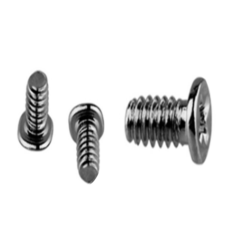 High Tensile Titanium liten størrelse mikroskrue for klokkeglass