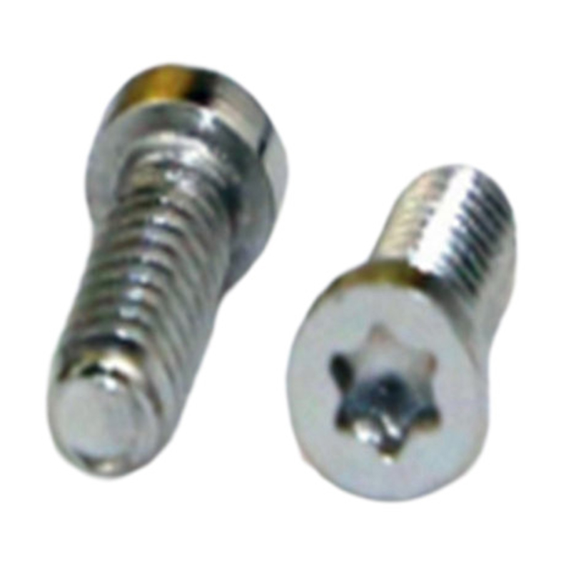 Høypresisjon M1.4 6-lob miniatyr mikroskrue for klokker