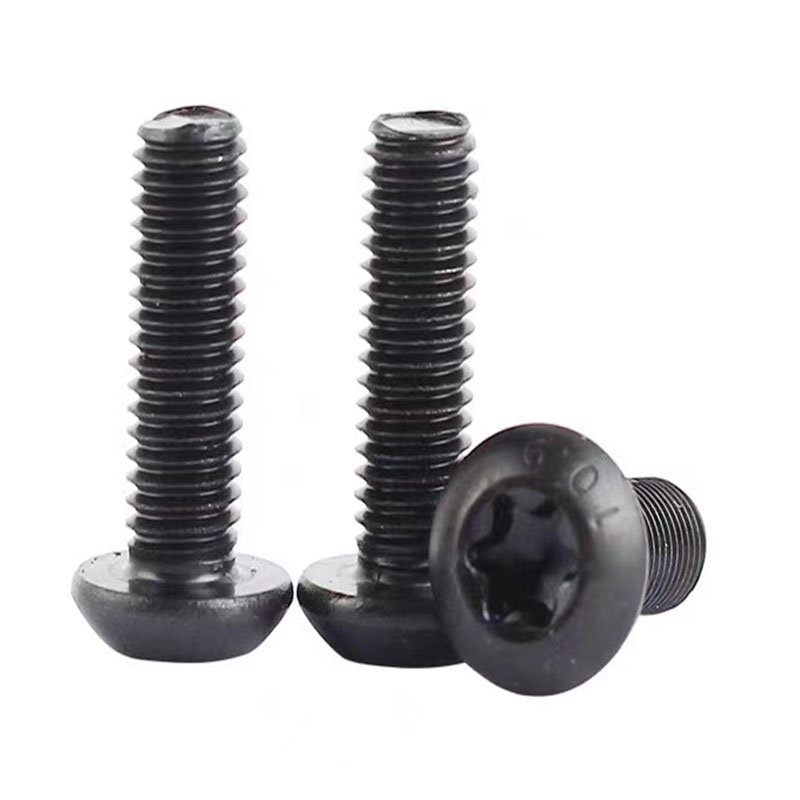 Grade 10,9 m8 sort rustfritt stål torx rundhodeskrue